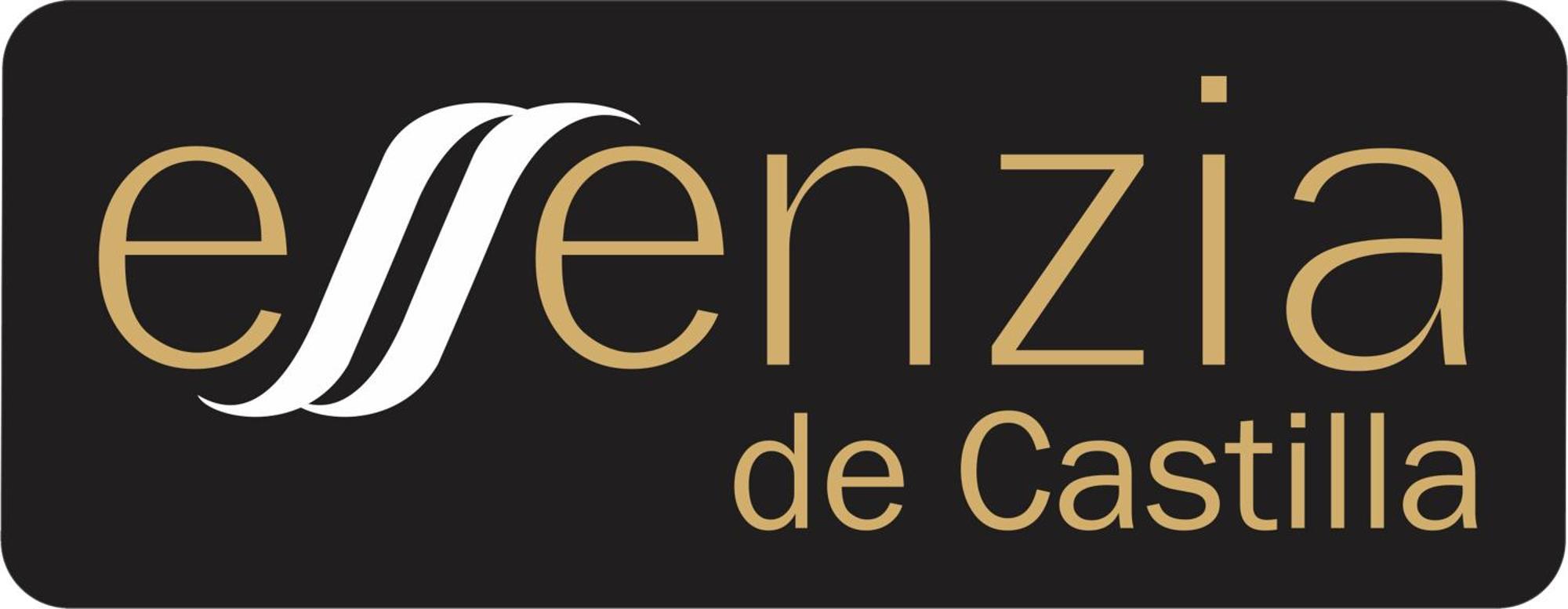 Aparthotel Essenzia De Castilla Aranda de Duero Exterior photo